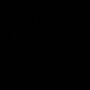 Meet your Posher, Ahmad